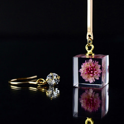 粉色虎杖施華洛世奇耳環/耳環禮物生日禮物禮物包裝婚禮被稱為 第1張的照片