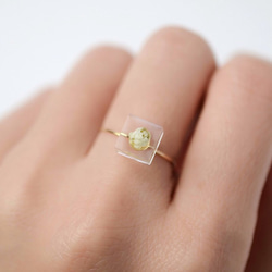 米花線圈戒指免費尺寸禮物生日禮物禮物包裝婚禮稱為 第1張的照片