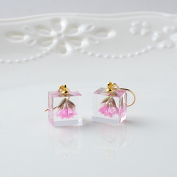 粉色 statice 掛鉤耳環 14kgf 黃金禮物生日禮物禮物包裝婚禮 第2張的照片
