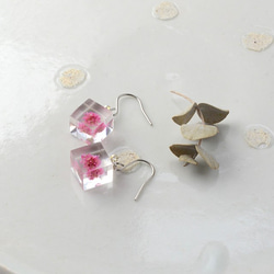 姬路蕎麥鉤形耳環鈦（樹脂，透明耳環，鈦耳環，免費送貨） 第1張的照片