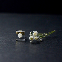 Kasumi 草 Kasumi 草耳釘為一隻耳朵禮物生日禮物禮物包裝結婚電話 第2張的照片
