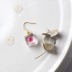 粉色虎杖鉤耳環一隻耳朵 14kgf 黃金禮物生日禮物禮物包裝婚禮 第4張的照片