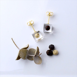 白胡椒和黑胡椒耳釘（免費禮品包裝，留言卡，生日禮物，免費送貨） 第2張的照片