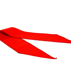 【ダッフィーSサイズ43cm】ライダースーツ（ダンガリー青）赤スカーフ 5枚目の画像
