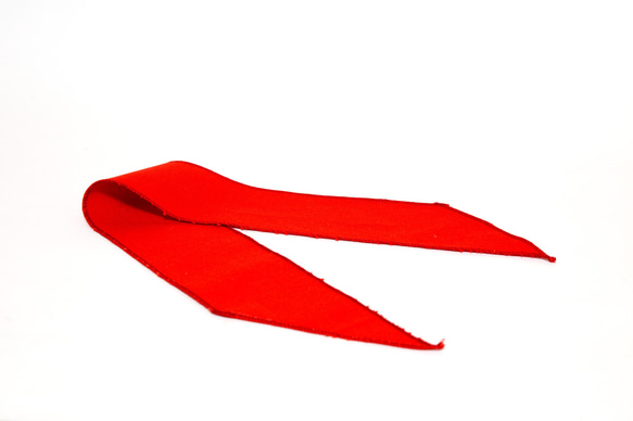 【ジェラトーニSサイズ43cm】ライダースーツ（ダンガリー青）赤スカーフ 4枚目の画像