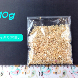 (j-00017)星の砂 星砂 たっぷり10g レジン 封入 材料 アクセサリーパーツ 2枚目の画像