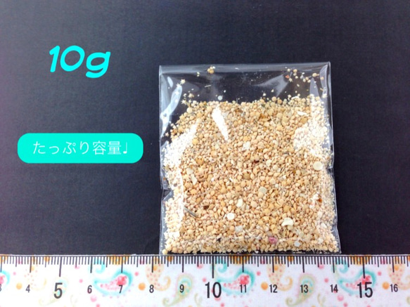 (j-00017)星の砂 星砂 たっぷり10g レジン 封入 材料 アクセサリーパーツ 2枚目の画像