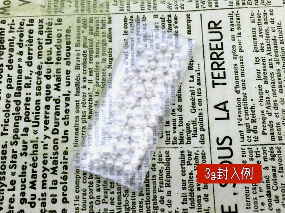  第2張的照片