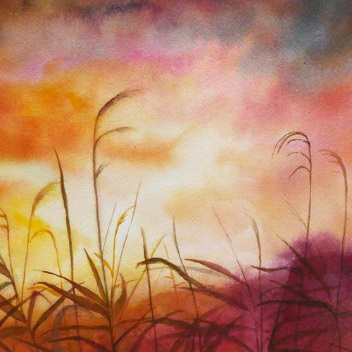 夕日／すすき（水彩・額付き・送料無料） 絵画 Tsumori.Y 通販 6038651