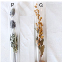 選べる3本セット 植物標本  一輪花〜彩〜　 6枚目の画像