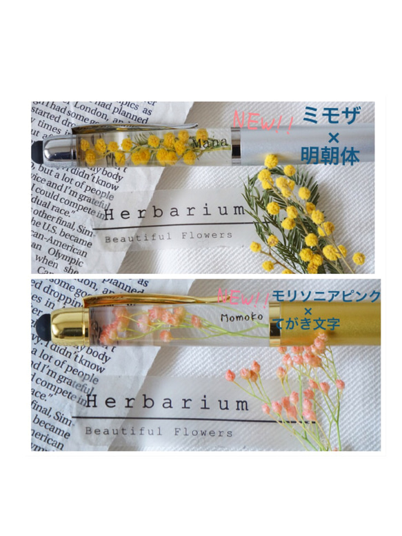 2本セット《名入れ》《ショップ名》《メッセージも可》 ハーバリウムボールペン　ミモザ、桜カラーetc 5枚目の画像