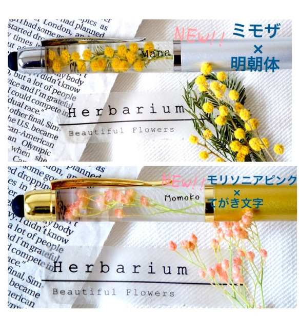 《名入れ》《記念日》世界にひとつのオリジナルハーバリウムペン　ミモザ　creema限定価格 5枚目の画像