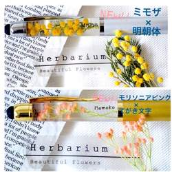 《名入れ》《記念日》世界にひとつのオリジナルハーバリウムペン Creema限定早割価格　ミモザ，桜カラーetc 5枚目の画像
