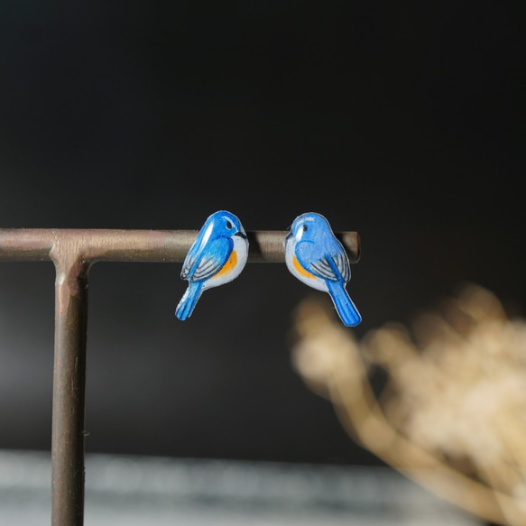 幸せの青い鳥 手描き ぷっくり 手乗り小鳥 ミニミニ  ルリビタキ オス チタンピアス ［イヤリング可] 2枚目の画像
