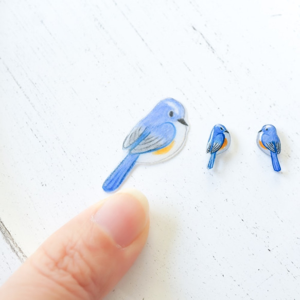 幸せの青い鳥 手描き ぷっくり 手乗り小鳥 ミニミニ  ルリビタキ オス チタンピアス ［イヤリング可] 4枚目の画像