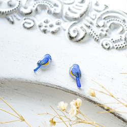 幸せの青い鳥 手描き ぷっくり 手乗り小鳥 ミニミニ  ルリビタキ オス チタンピアス ［イヤリング可] 6枚目の画像