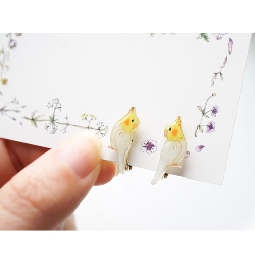 手描き ぷっくり 手乗り小鳥 オカメインコ チタンピアス