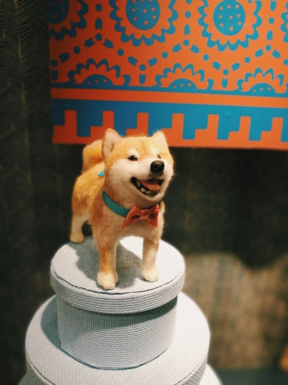 「オーダーメイド」15cmマイペット柴犬全身植毛完全手作り羊毛フェルト作品---ご要望に応じてカスタマイズ 4枚目の画像