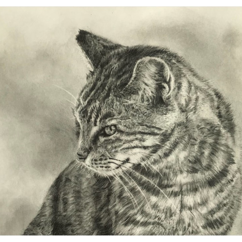 鉛筆画オーダー画面