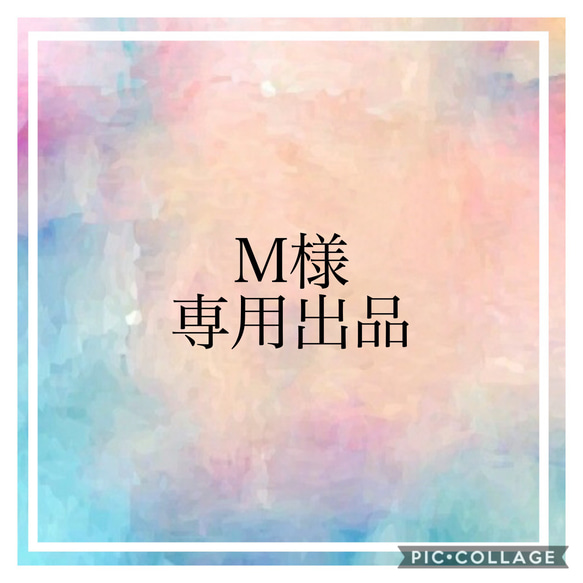 M様専用出品 1枚目の画像