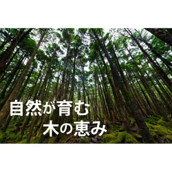 極厚 ウッド ネームタグ ネームプレート 名入れ 名前 本牛革 ベルト(メール便送料無料) 2枚目の画像