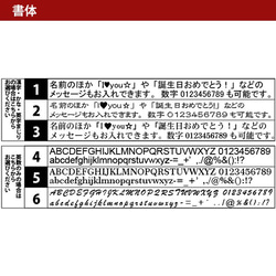 フリクション3色ボールペン 名入れ 3色 可愛い 入学 卒業 就職 昇進 進学 おしゃれ(メール便送料無料) 10枚目の画像