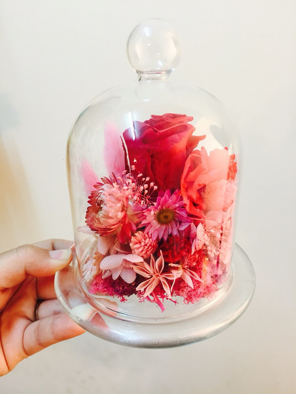永生玫瑰玻璃罩/不凋花/乾燥花 第5張的照片