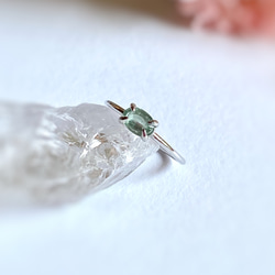 グリーンカイヤナイトの指輪 宝石質AAA/sv925  フリーサイズ 6枚目の画像