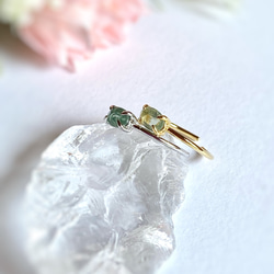 グリーンカイヤナイトの指輪 宝石質AAA/sv925  フリーサイズ 8枚目の画像