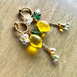 再次上架♡檸檬季捷克玻璃珠圈形耳環 第4張的照片