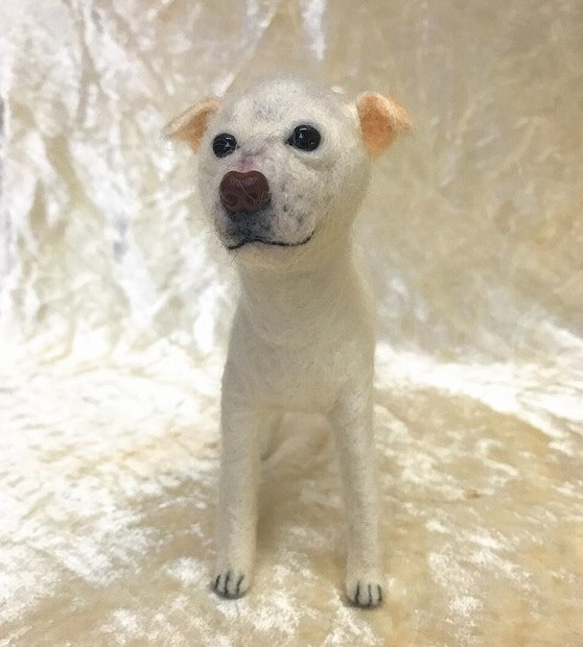 ✺朱蒂羊毛氈✺ 紀念版動物客製區-狗狗（犬類）（短毛） 第2張的照片