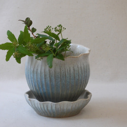 空色フリル陶製植木鉢(皿付き)β 1枚目の画像
