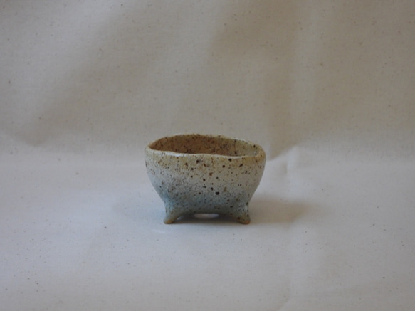 空色豆植木鉢(楕円) 2枚目の画像