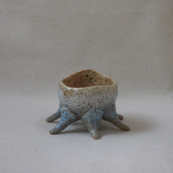 空色蛸足豆植木鉢(1) 1枚目の画像