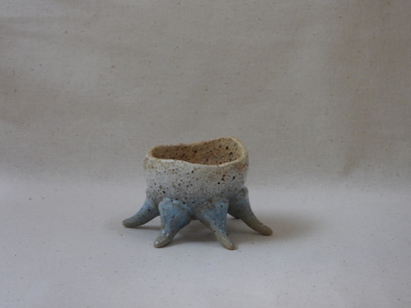 空色蛸足豆植木鉢(1) 2枚目の画像