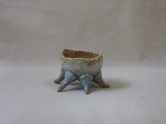空色蛸足豆植木鉢(1) 3枚目の画像