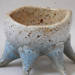 空色蛸足豆植木鉢(1) 7枚目の画像