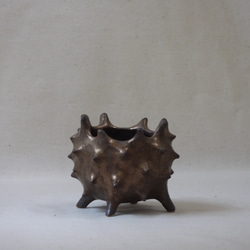 金彩棘棘植木鉢(14) 4枚目の画像