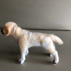 羊毛フェルト犬 ラブラドール レトリーバー 3枚目の画像