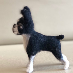 羊毛フェルト犬 ボストンテリヤ 4枚目の画像