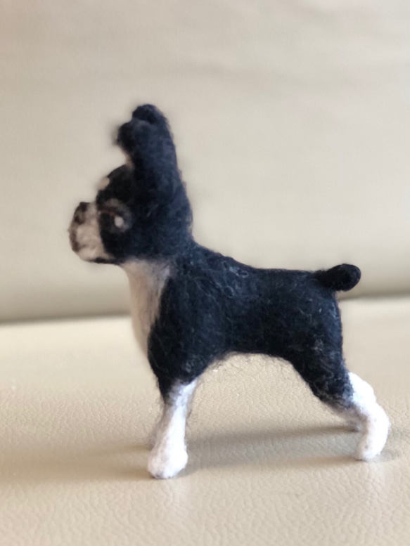 羊毛フェルト犬 ボストンテリヤ 4枚目の画像
