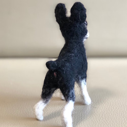 羊毛フェルト犬 ボストンテリヤ 5枚目の画像