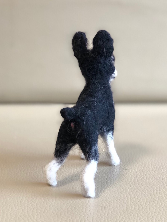 羊毛フェルト犬 ボストンテリヤ 5枚目の画像