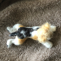羊毛フェルト犬 お腹ぺったりポーズ （ワイヤーフォックステリア） 3枚目の画像