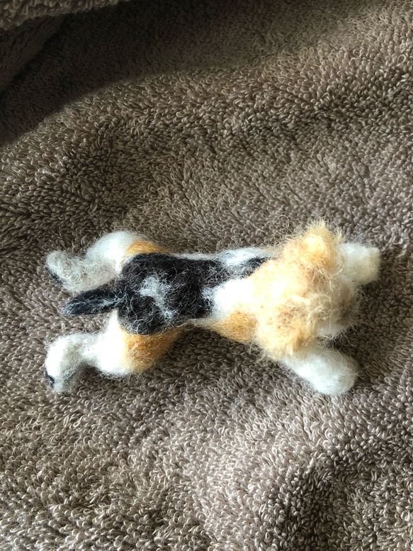 羊毛フェルト犬 お腹ぺったりポーズ （ワイヤーフォックステリア） 3枚目の画像