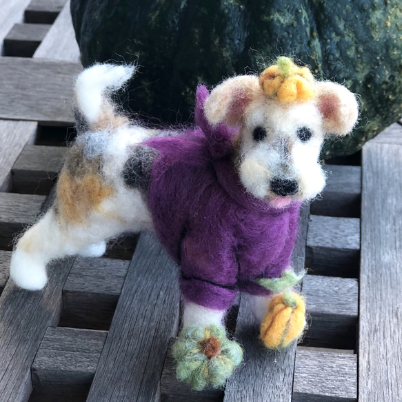 ハロウィン仮装 羊毛フェルト犬 ワイヤーフォックス 2枚目の画像