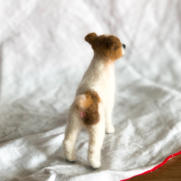 羊毛フェルト犬 ジャックラッセルテリア 3枚目の画像