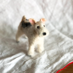 羊毛フェルト犬 ジャックラッセルテリア 羊毛フェルト sumimugi 通販