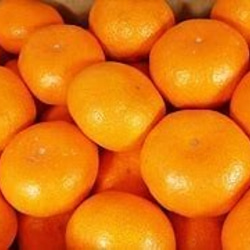 【期間限定】　甘〜い、甘〜い、和歌山温州みかん　5kg 2枚目の画像