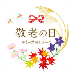 敬老の日２０２０　お誕生日、内祝い、還暦祝い、ギフトに！　紀州南高梅お勧め３種セット 5枚目の画像